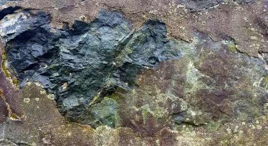 Stone in wall - Arlington, MA - 20201127 103042