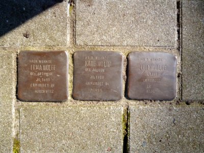 Stolpersteine Flensburg Wolff