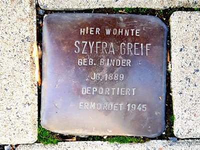 Stolperstein Greif Szyfra Pappenstr 3 Duisburg-Neudorf