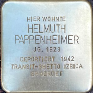 Stolperstein Helmuth Pappenheimer