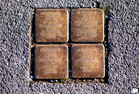 Stolpersteine in der Wöhrdstraße in Tübingen