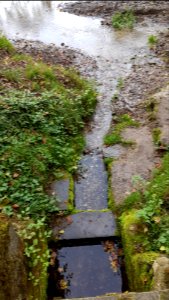 Stokhem-Gronselenput (13)