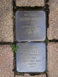 Stolpersteine Scheidlerstraße 3 Jena