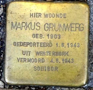 Stolpersteine Gouda Oosthaven31 2 (detail 6)