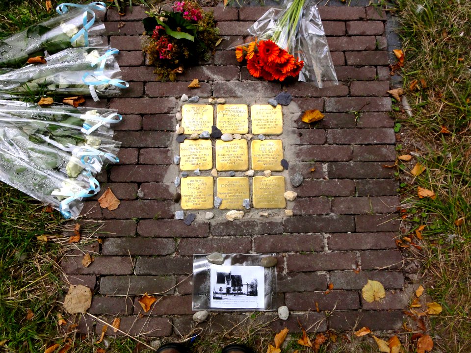 Stolpersteine Gouda Ridder van Catsweg61 geheel