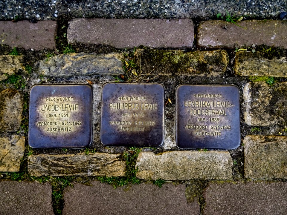 Stolpersteine Zuidland - Hoofd 4 - 2018