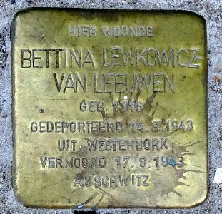 Stolpersteine Gouda Krugerlaan18 (detail 2)