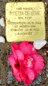 Stolpersteine Gouda Krugerlaan66 (detail5)