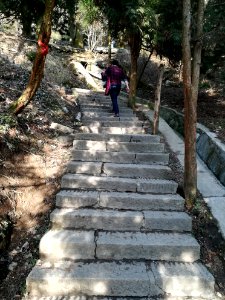 Stone steps, Mount Heng (Hunan), picture2