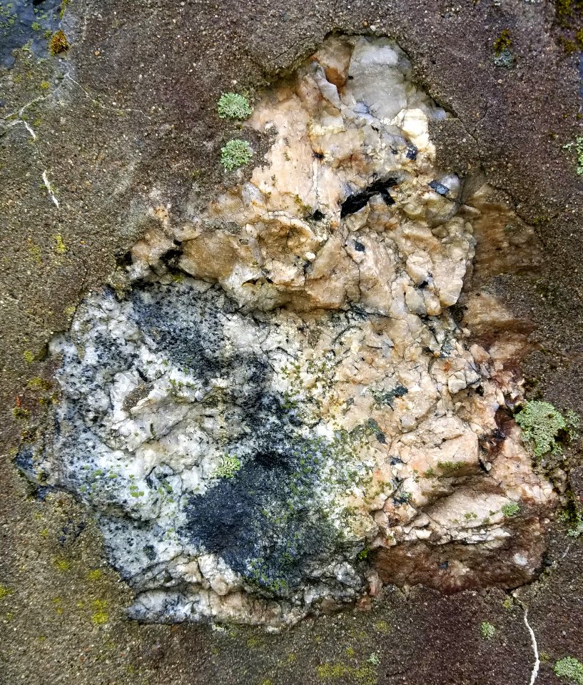 Stone in wall - Arlington, MA - 20201127 102535