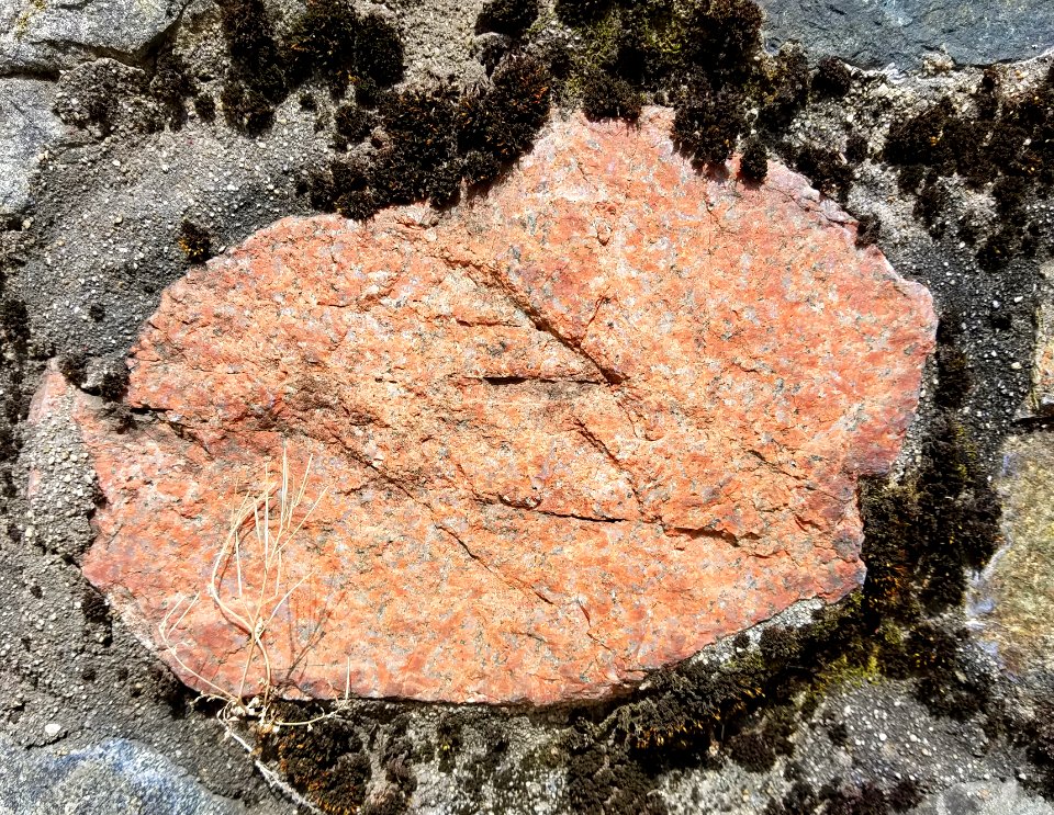 Stone in wall - Arlington - MA - 02