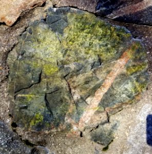 Stone in wall - Arlington, MA - 20210117 101041