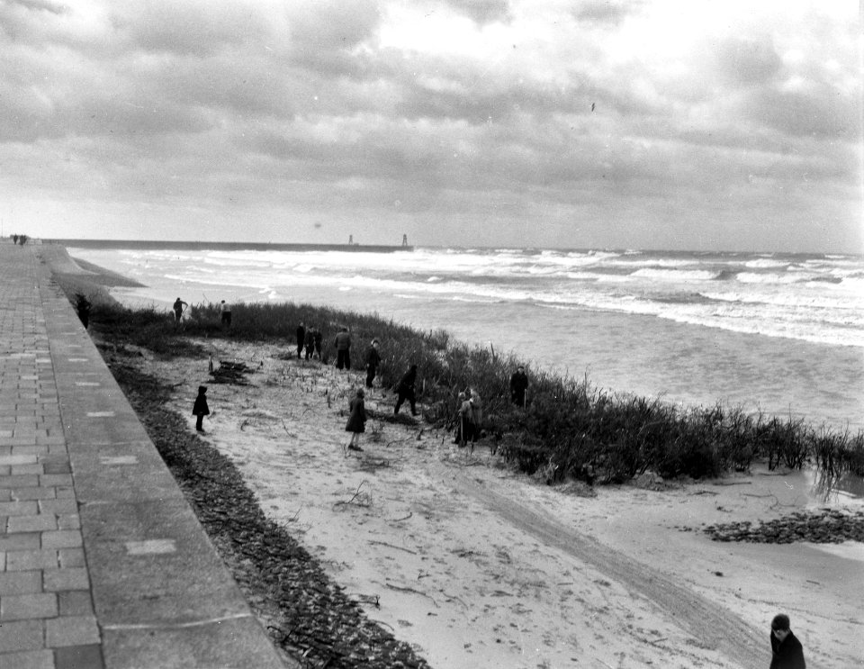 Storm aan kust Scheveningen en planten takkenbossen als waterkering, Bestanddeelnr 934-7148