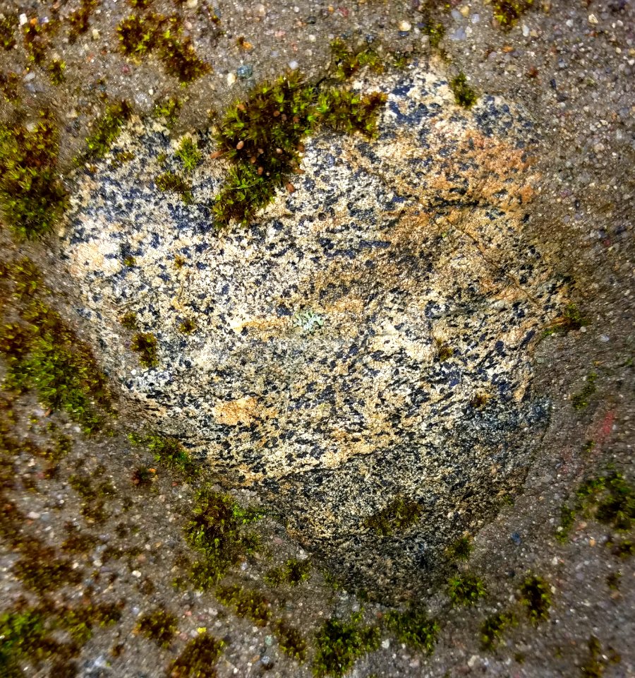 Stone in wall - Arlington, MA - 20201127 102444