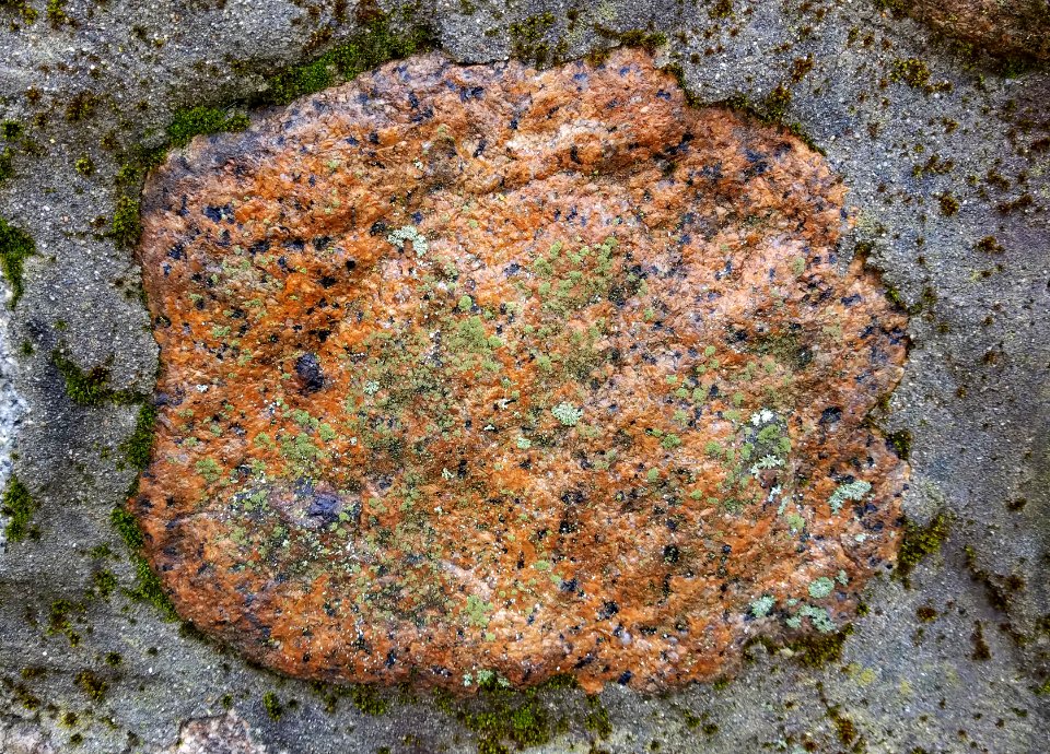 Stone in wall - Arlington, MA - 20201127 102206