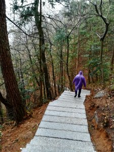 Stone steps, Mount Heng (Hunan), picture1