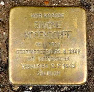 Stolpersteine Gouda Kattensingel42 (detail)