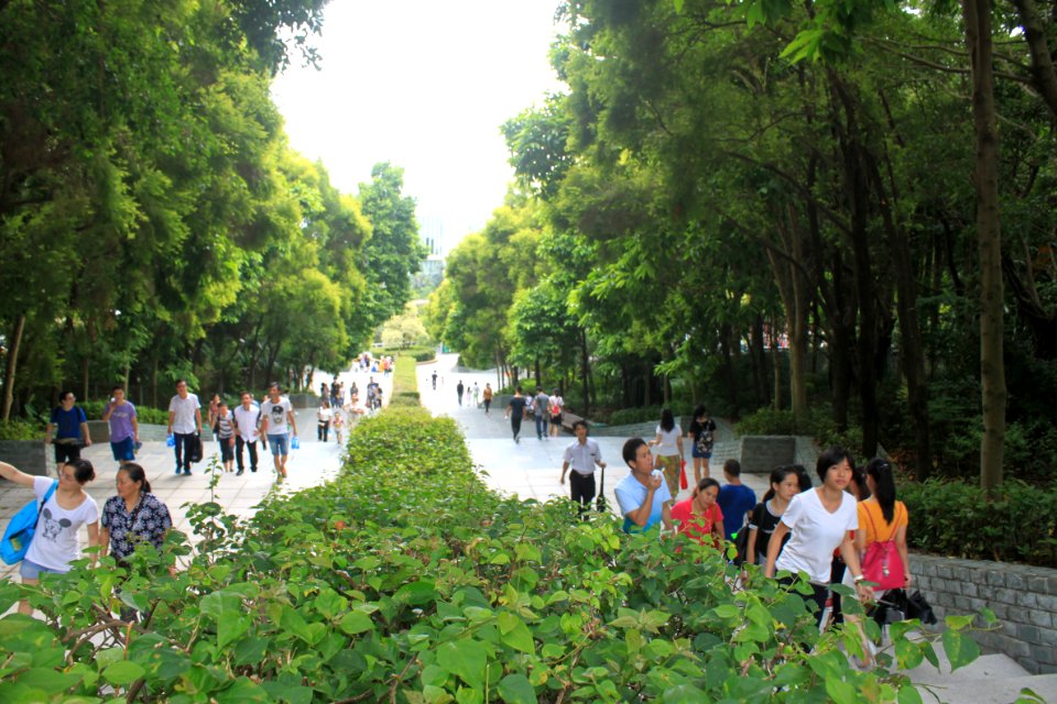 Stone staircases of Shenzhen International Garden and Flower Expo Park3