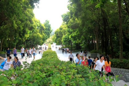 Stone staircases of Shenzhen International Garden and Flower Expo Park3