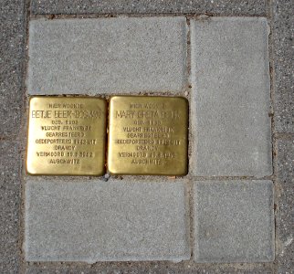 Stolpersteinen rotterdam rochussenstraat51