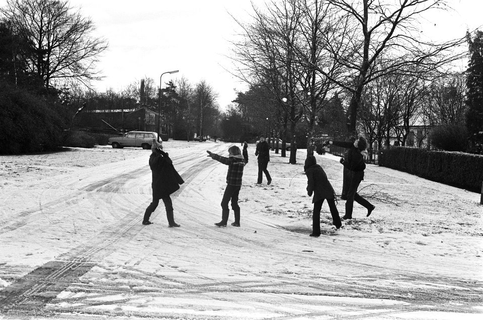Stormschade in bos bij Doorn en sneeuw kinderen gooien sneeuwballen, Bestanddeelnr 929-5103