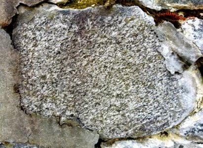Stone in wall - Arlington, MA - 20201128 103304