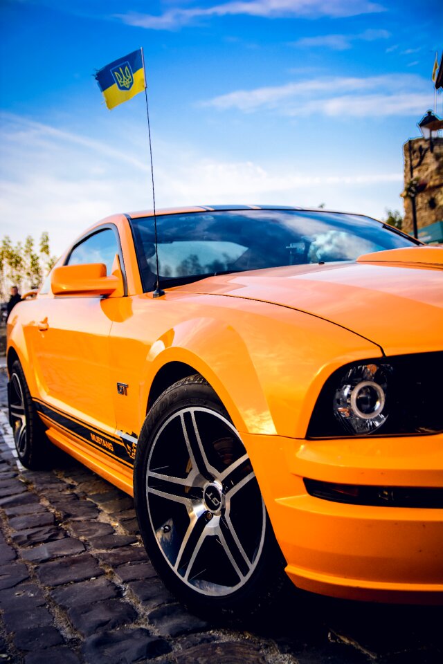 Car ford ford mustang