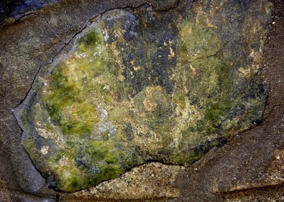 Stone in wall - Arlington, MA - 20201127 093511