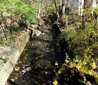 Storm drain Summit NJ behind houses photo