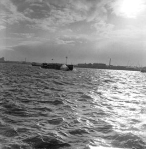Storm in de Rotterdamse haven, Bestanddeelnr 911-7392