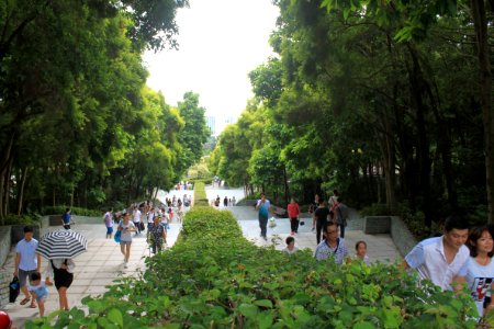 Stone staircases of Shenzhen International Garden and Flower Expo Park1