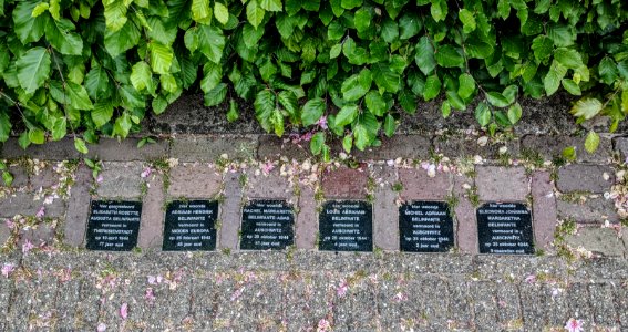 Stolpersteine Katwijk - famile Belinfante - Zeeweg 133 - 2018