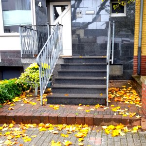 Stolpersteine Bechemstr 4 Duisburg Duissern