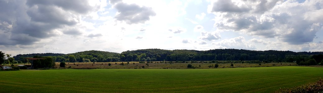 Strabeek-Bergse Heide (2)