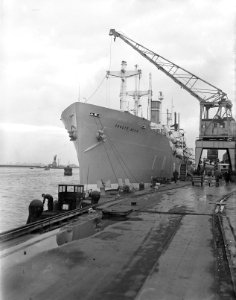 Stoomschip Groote Beer, Bestanddeelnr 902-4442