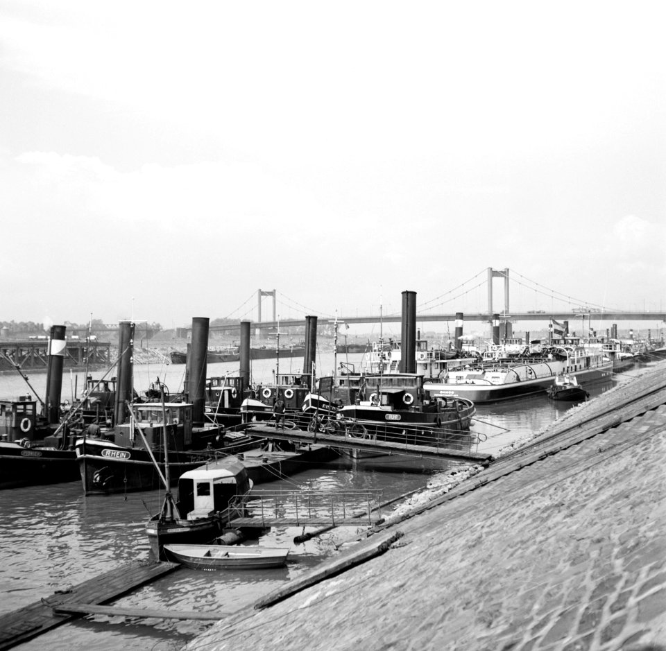 Stoomsleepboten aangemeerd in de haven Duisburg-Ruhrort waaronder de slepers Da…, Bestanddeelnr 254-0984