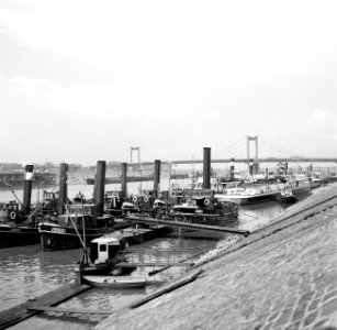 Stoomsleepboten aangemeerd in de haven Duisburg-Ruhrort waaronder de slepers Da…, Bestanddeelnr 254-0984