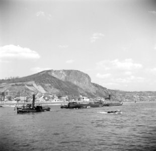 Stoomsleepboot met rijnaken waaronder de Elise ter hoogte van Remagen, Bestanddeelnr 254-1065
