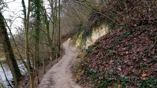 Strabeek-Bergse Heide (3)
