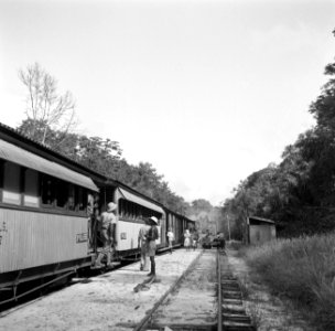 Stop van de goudveldentrein op het tracee Paramaribo - Kabelstation, Bestanddeelnr 252-5980