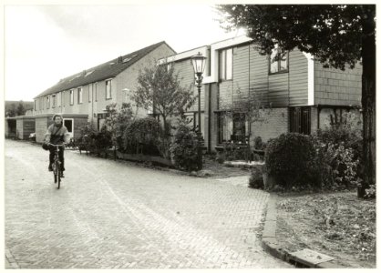 Straat in Molenwijk