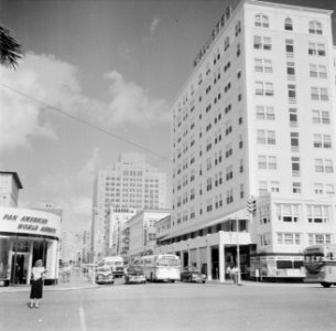 Straat in Miami, Bestanddeelnr 191-0764