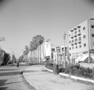 Straat met een flatgebouw en palmen, met op de achtergrond de Alhambra bioscoop, Bestanddeelnr 255-0082