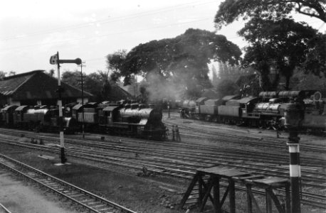Stoomlocomotieven en kolentenders bij spoorwegwerkplaats, Bestanddeelnr 3378