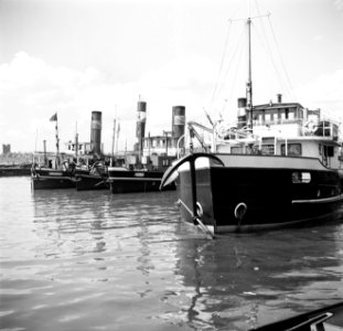 Stoomslepers waaronder de Ribeauville en Hardi aangemeerd in de haven Duisburg-R, Bestanddeelnr 254-0988
