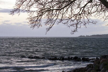 Beach beautiful natural photo