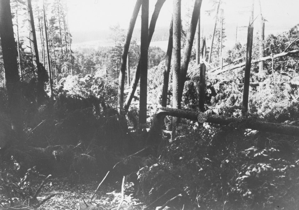 Stormschade, Bestanddeelnr 194-0526