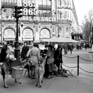 Straatverkoopster met ezels tegenover warenhuis Printemps, Bestanddeelnr 254-0341