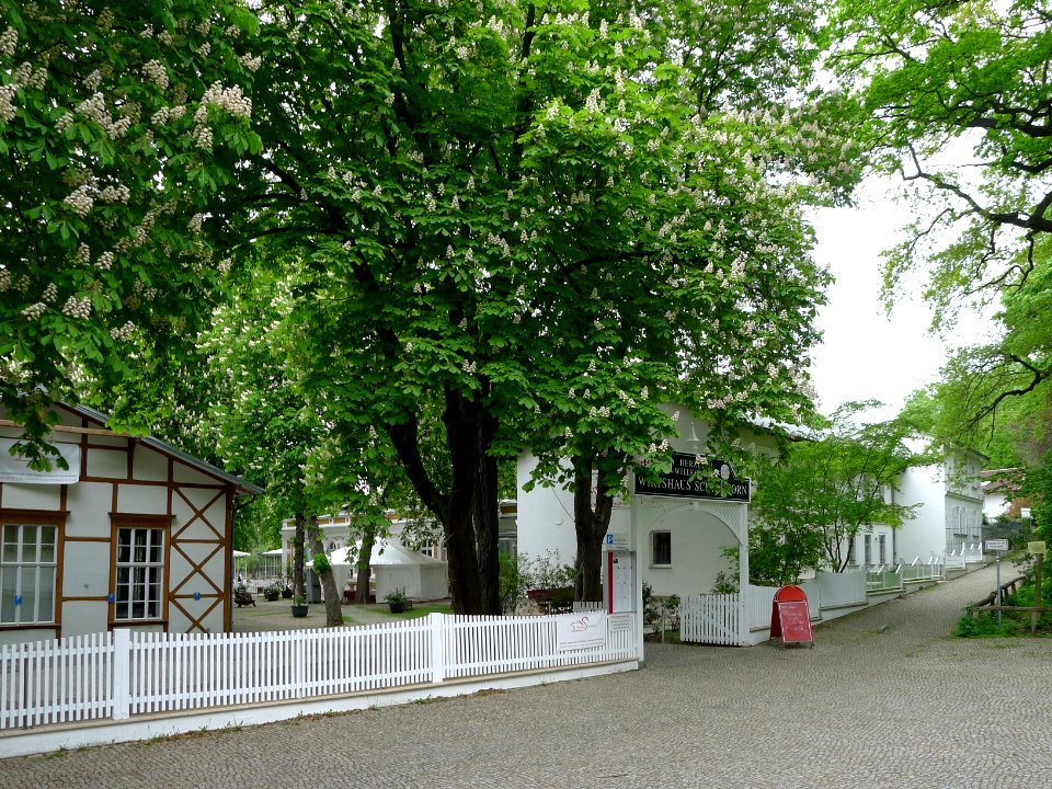 Straße am Schildhorn 2-4B Berlin-Grunewald