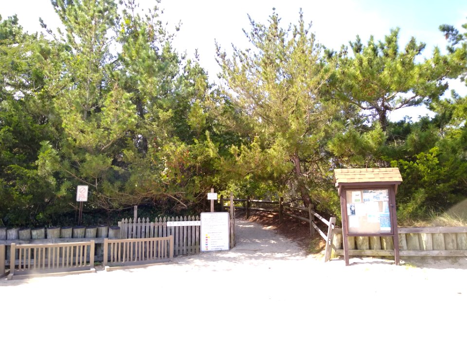 StPetersBeachinCapeMayPoint